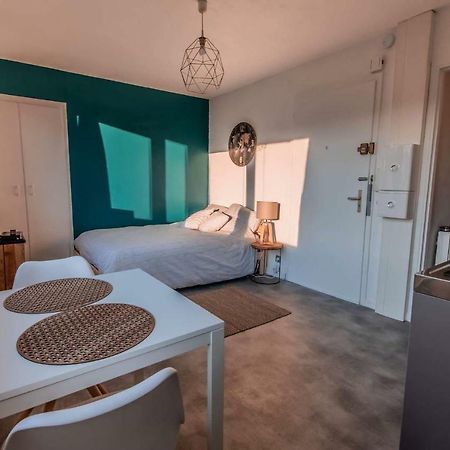Apartament Charmant Lumineux Studio Esplanade Strasburg Zewnętrze zdjęcie