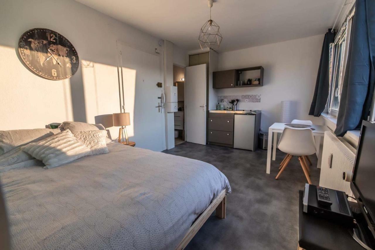 Apartament Charmant Lumineux Studio Esplanade Strasburg Zewnętrze zdjęcie